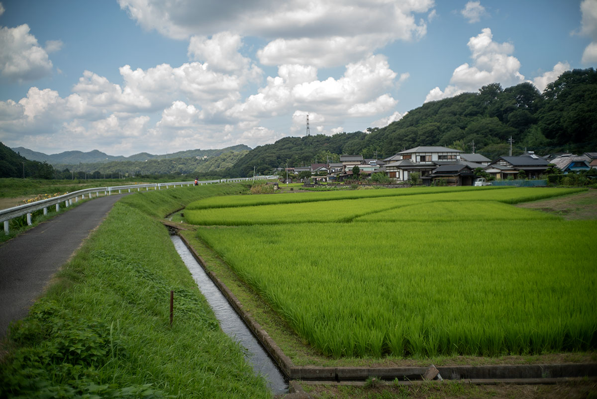 Kowa Optical Works Prominar F.C. 1:2.8 f=35mm で愛川町を撮影。