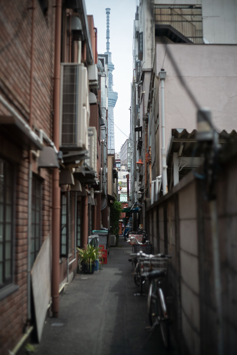 Konishiroku Hexanon 1:1.8 f＝50mm (Konica IIIA) で隅田川界隈を撮影。