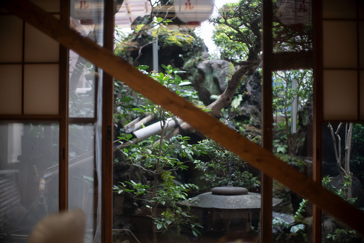 C.C. Auto Petri 1:1.4 f=55mm で隅田川界隈を撮影。