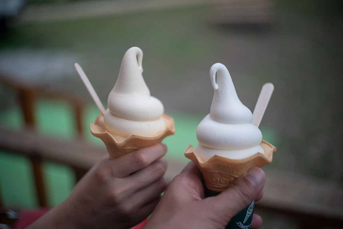 Olympus G.Zuiko F.C. 1:1.9 f=4.5cm で白樺湖を撮影。