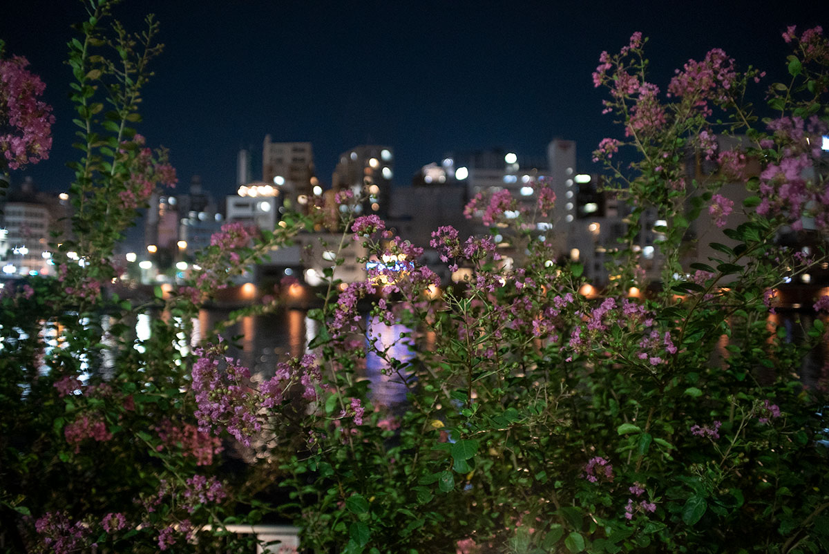 KIRON KINO PRECISION 28mm f/2 で浅草を撮影。