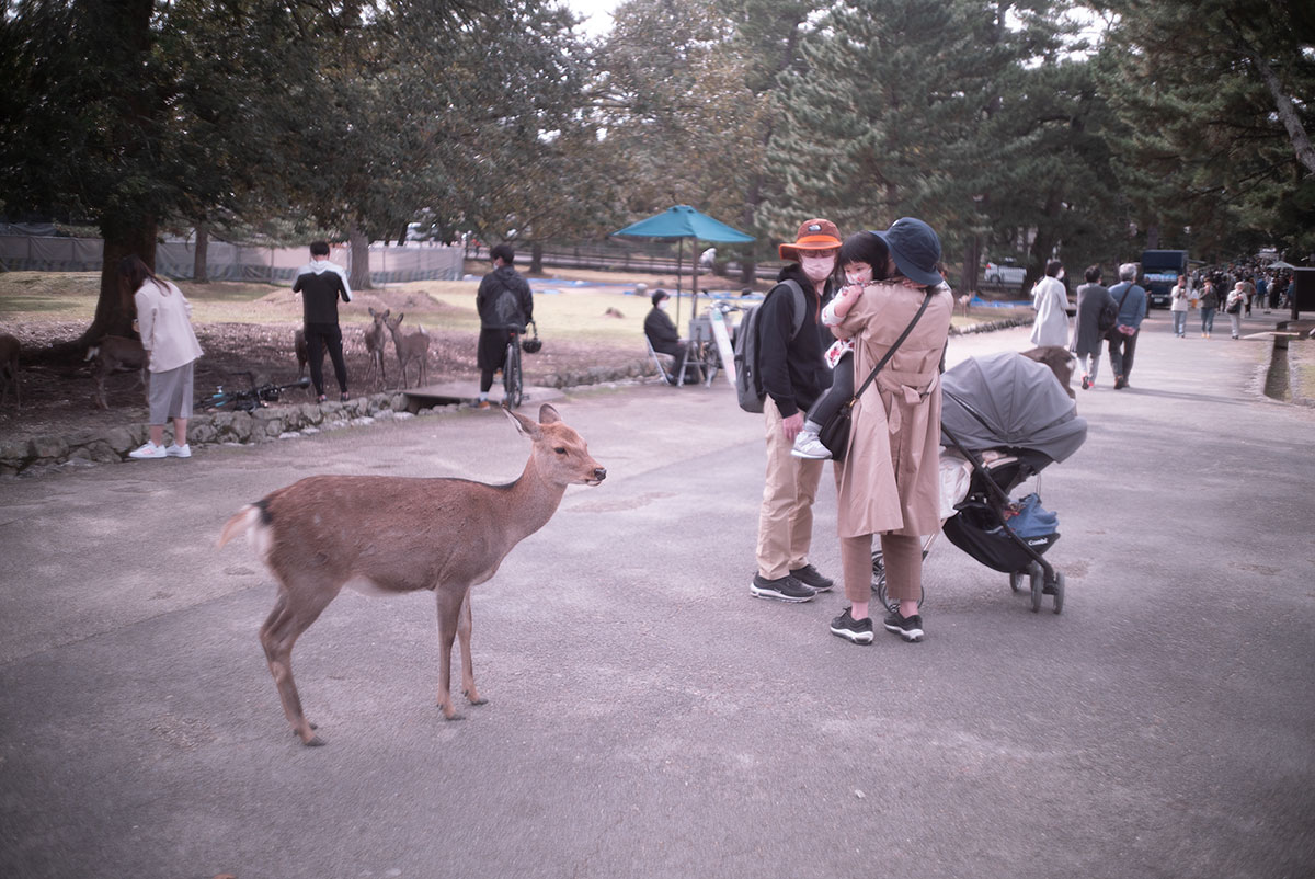 Olympus H.Zuiko F.C. 1:2 f=3.5cm で奈良を撮影。