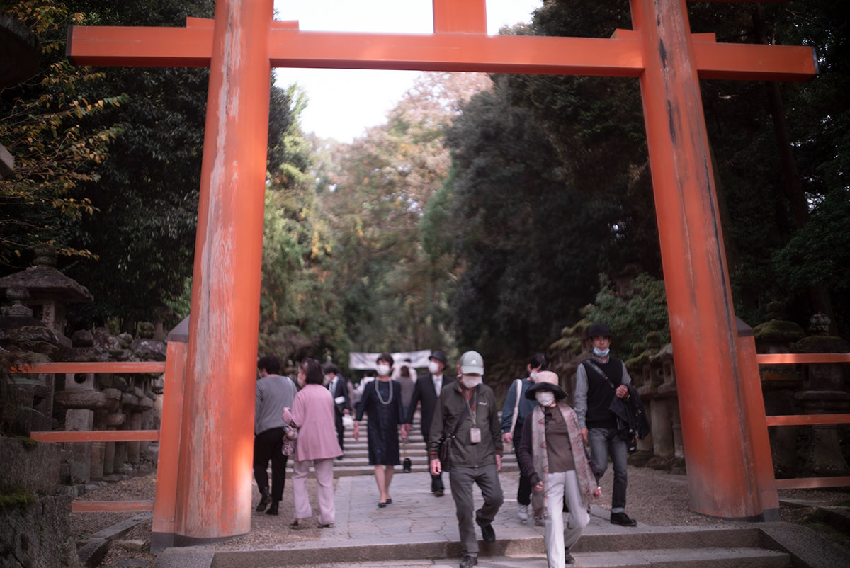 Olympus H.Zuiko F.C. 1:2 f=3.5cm で奈良を撮影。