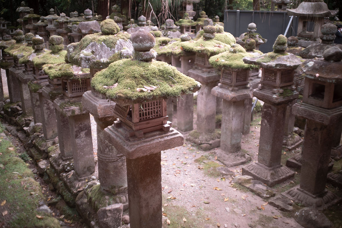 Olympus H.Zuiko F.C. 1:2 f=3.5cm で奈良を撮影。