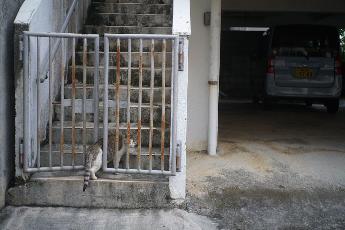 Rokuoh-sha Optor f:4.5 f=50mm で沖縄を撮影。