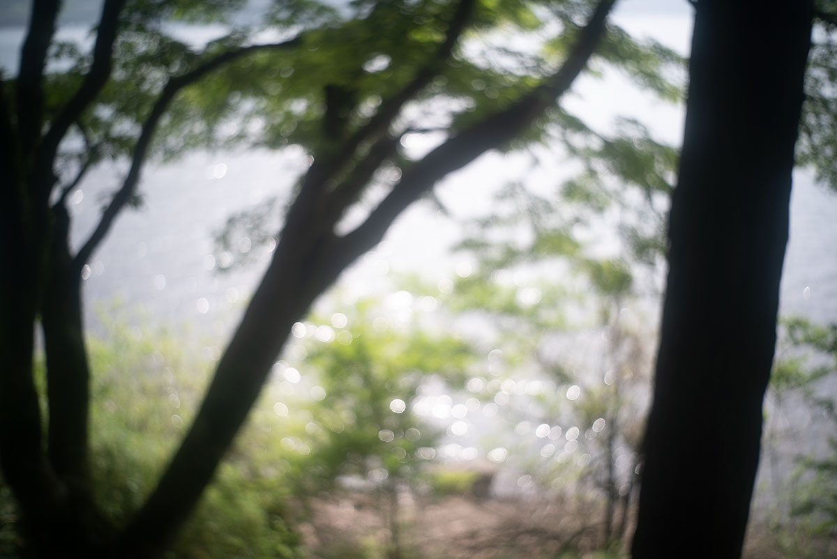 FOCA OPLAREX 1:1.9 F=5cm で箱根富士屋ホテルを撮影。