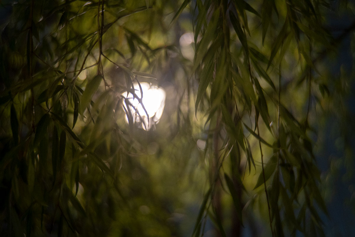 CANON LENS SD 50mm 1:2.8 で浅草を撮影。