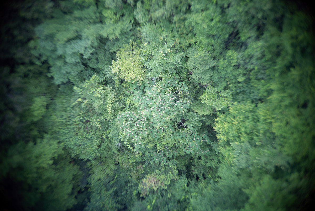 CANON LENS SD 50mm 1:2.8 で熊本を撮影。