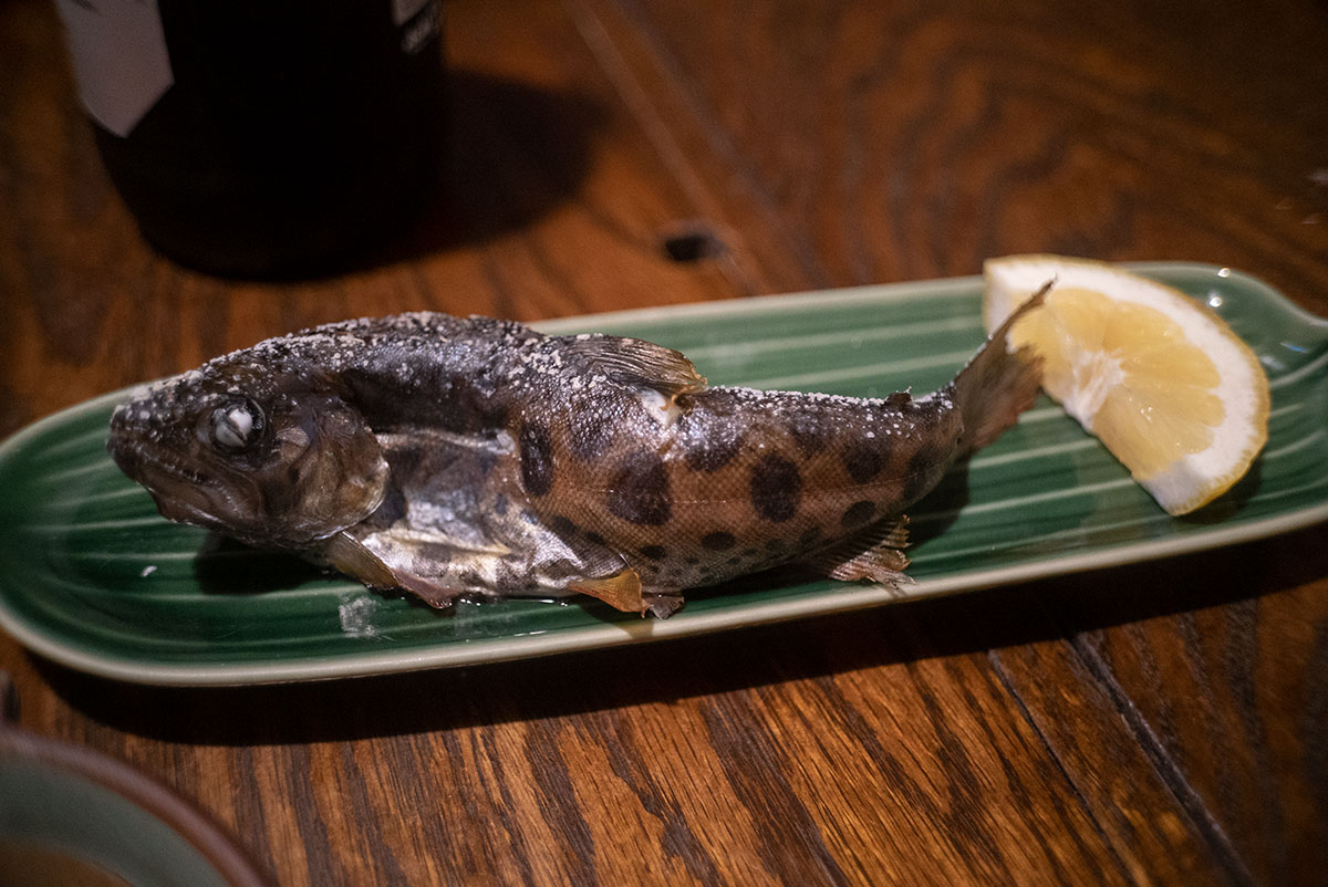 CANON LENS SD 50mm 1:2.8 で熊本を撮影。