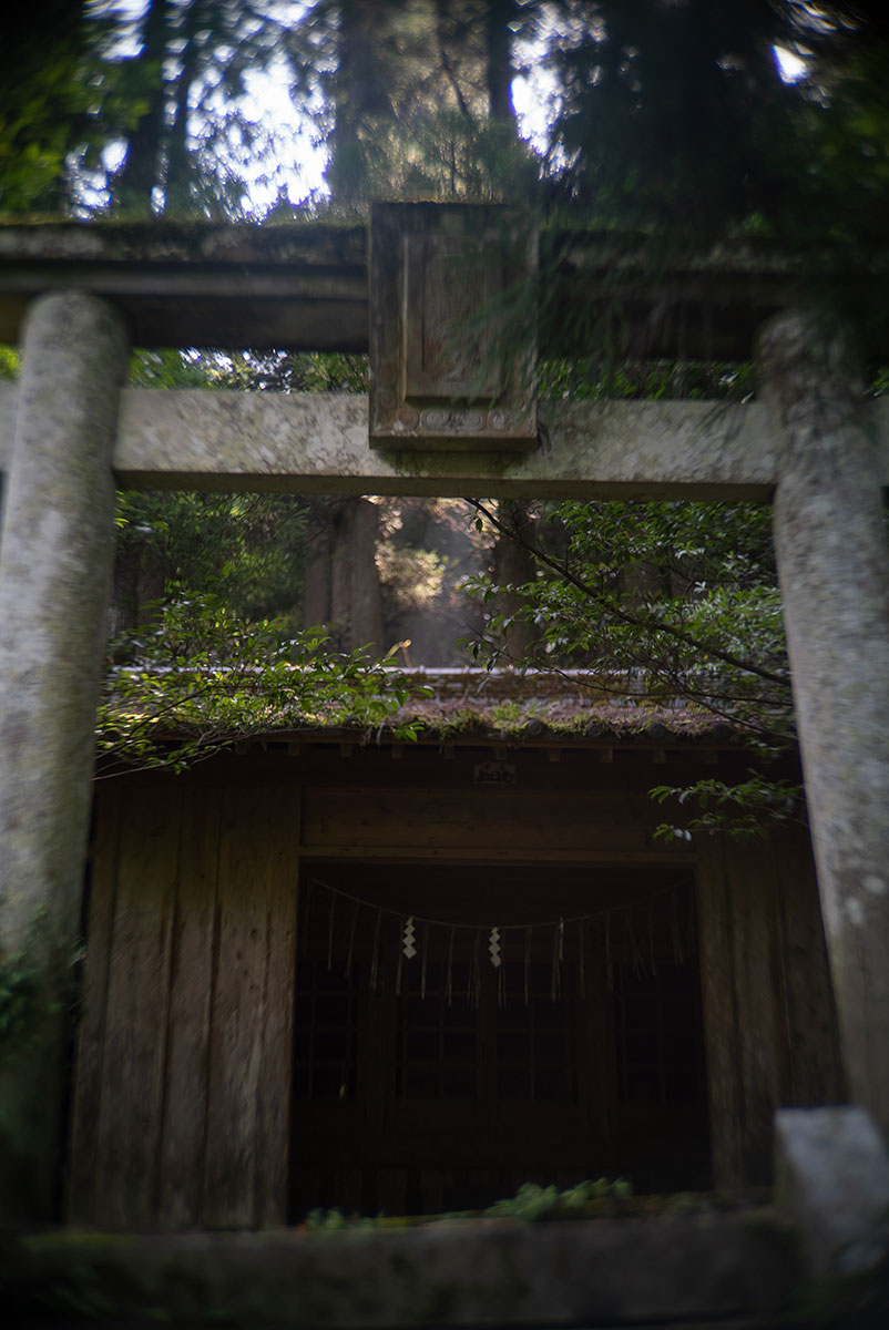 CANON LENS SD 50mm 1:2.8 で熊本を撮影。