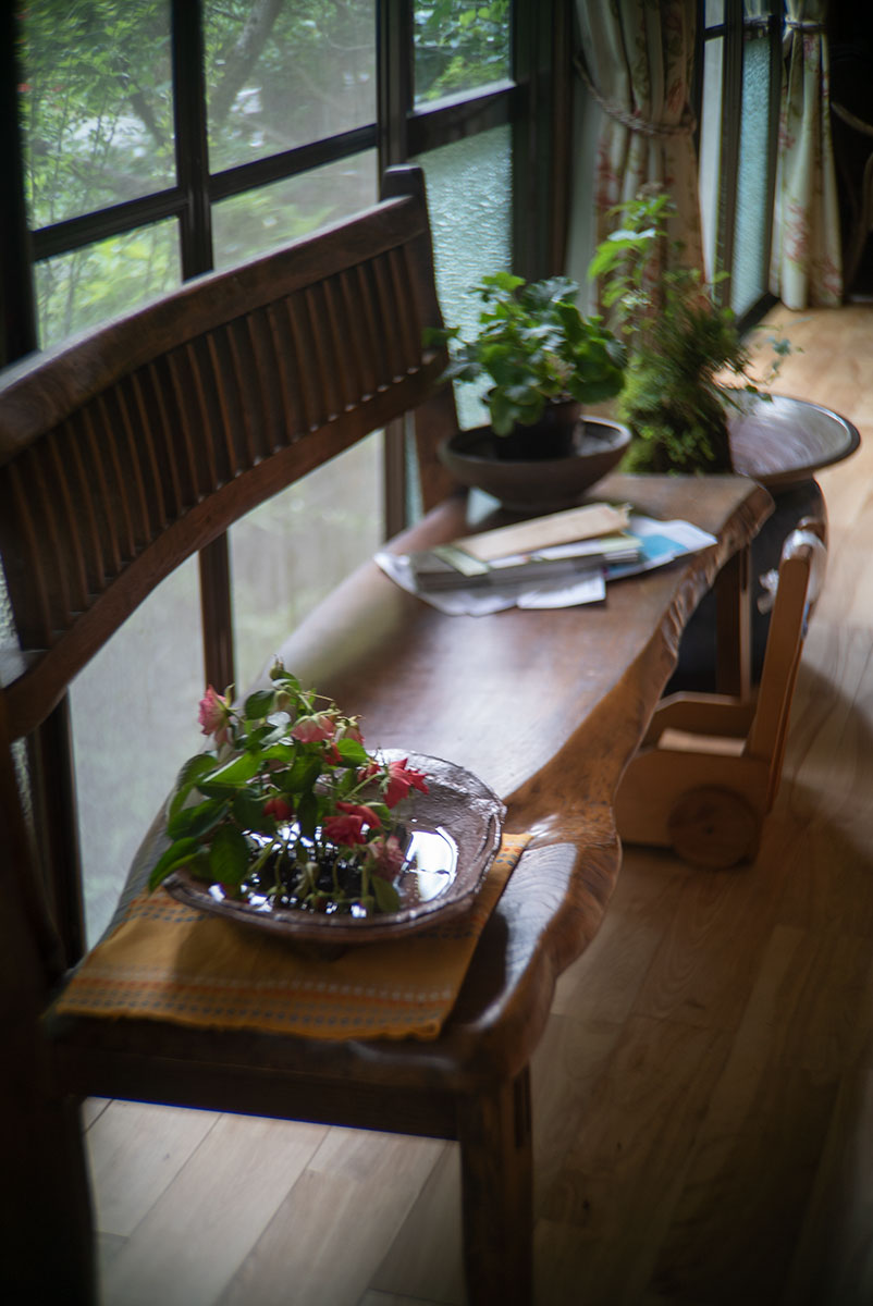 CANON LENS SD 50mm 1:2.8 で熊本を撮影。