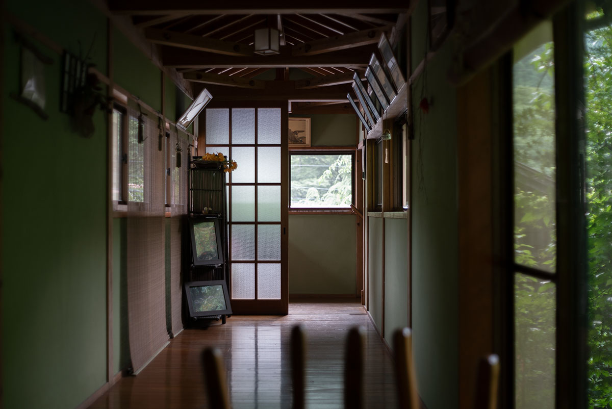 CANON LENS SD 50mm 1:2.8 で熊本を撮影。