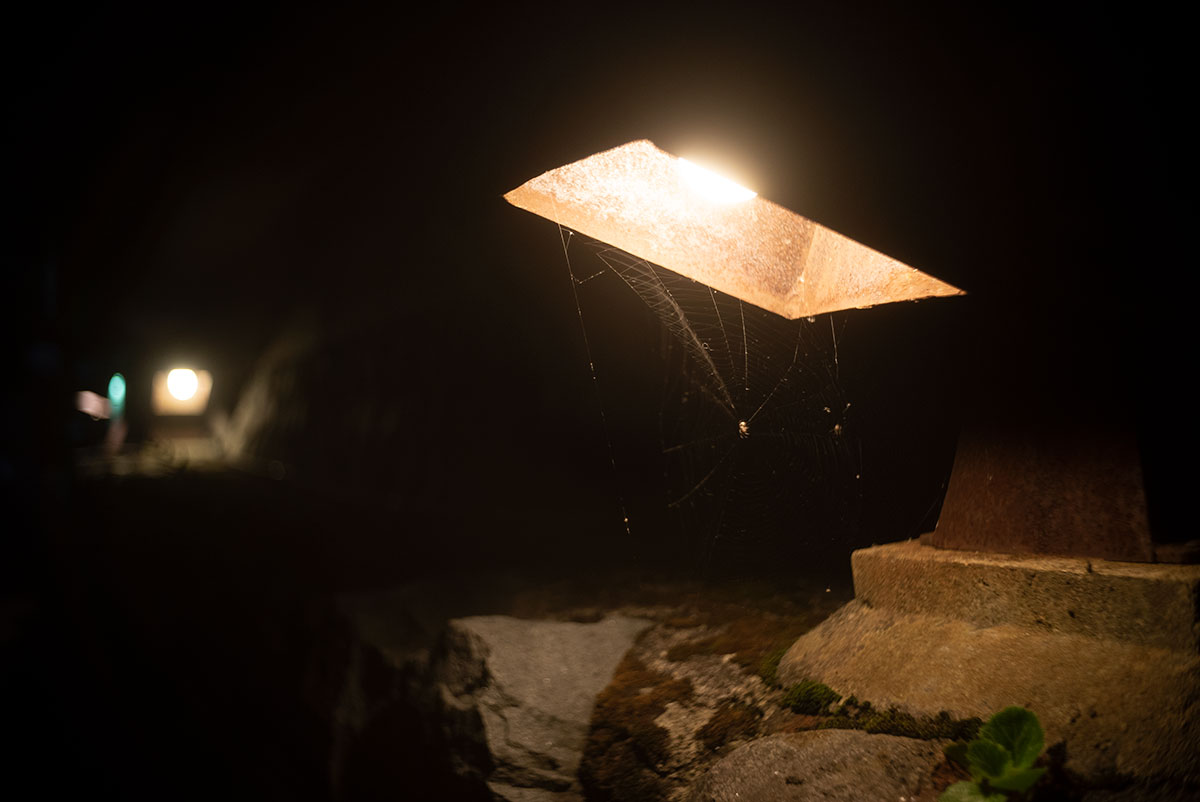 四万温泉の写真。