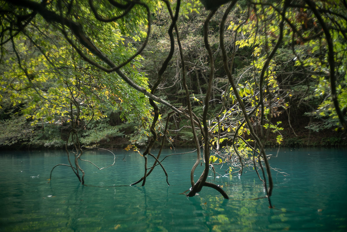 TOKYO KOGAKU UV TOPCOR 1:2 f=50mm で四万温泉を撮影。