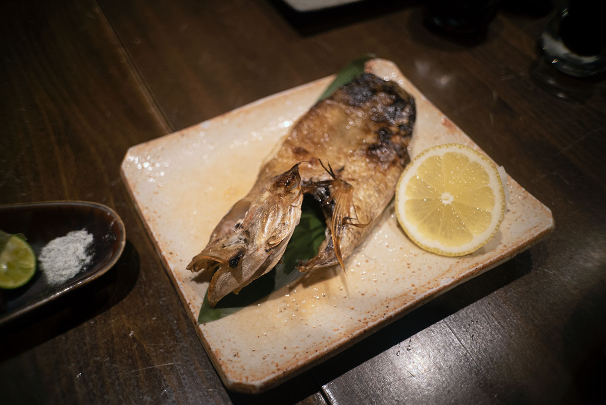 CANON LENS SD 50mm 1:2.8 で石川を撮影。