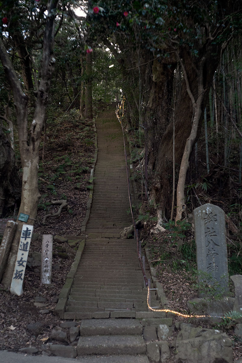 Schneider-Kreuznach Xenar 1:2.8/50 で愛川町を撮影。