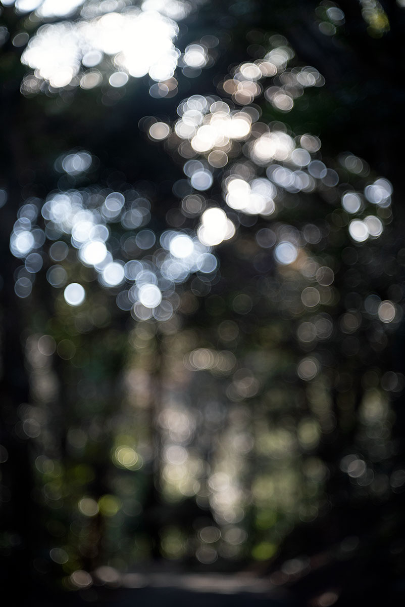 Schneider-Kreuznach Xenar 1:2.8/50 で愛川町を撮影。