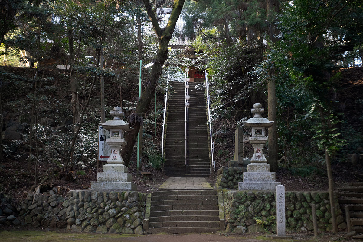 Schneider-Kreuznach Xenar 1:2.8/50 で愛川町を撮影。