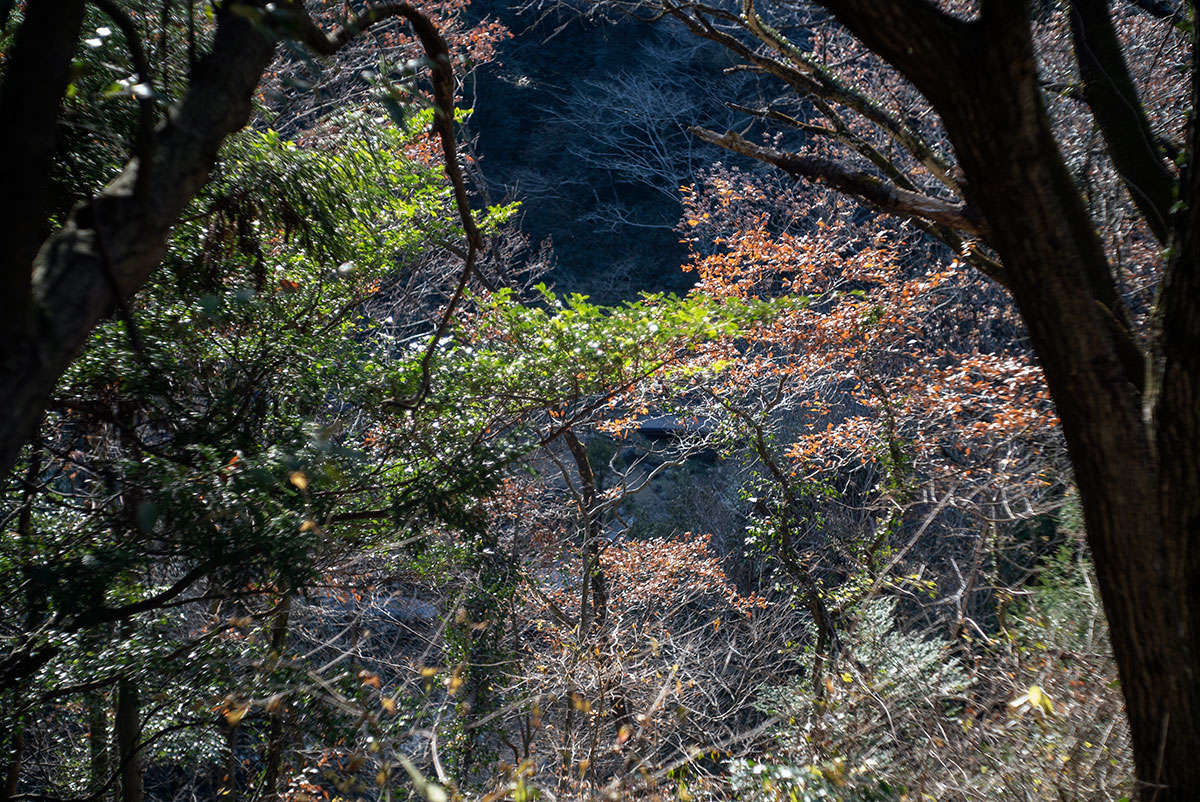 Schneider-Kreuznach Xenar 1:2.8/50 で愛川町を撮影。