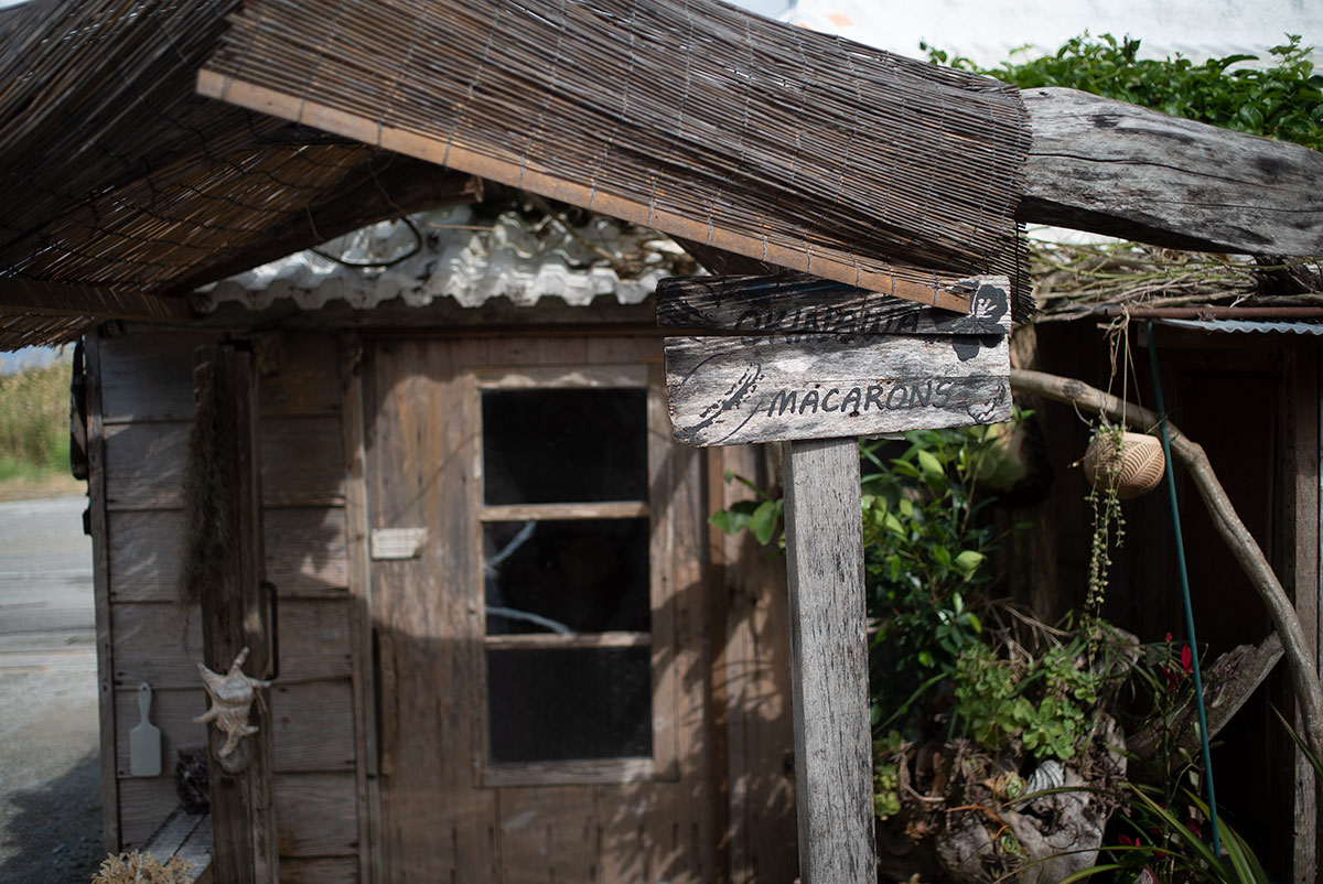 CANON LENS FD 35mm 1:2 で沖縄を撮影。