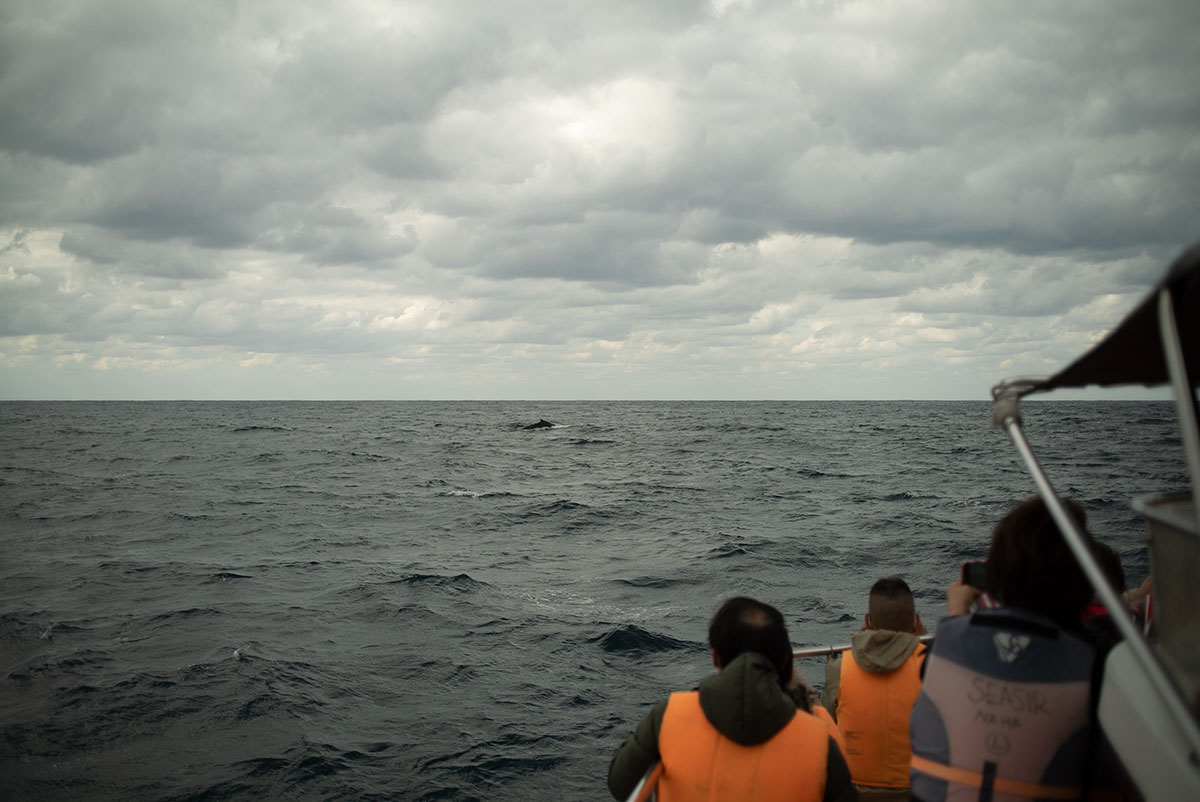 CANON LENS FD 35mm 1:2 で沖縄を撮影。