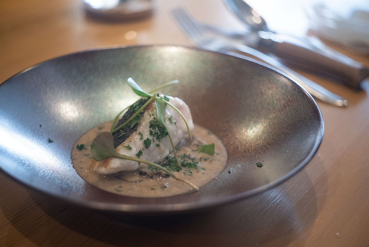 Etape w/ P.ANGENIEUX PARIS F.50 1:2,9 TYPE Z7 - 2023-03-05