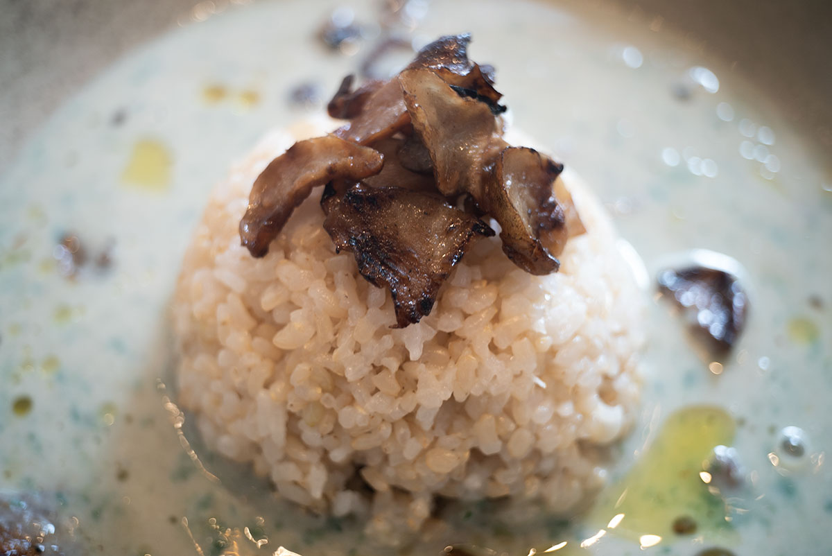 Nippon Kogaku Tokyo W-NIKKOR.C 1:3.5 f=3.5cm で鎌倉を撮影。