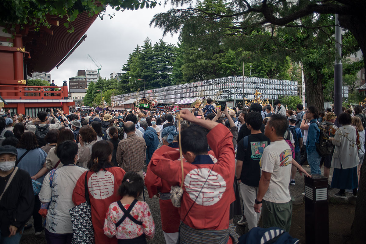 MAMIYA-SEKOR 1:2.8 f=24mm で三社祭を撮影。