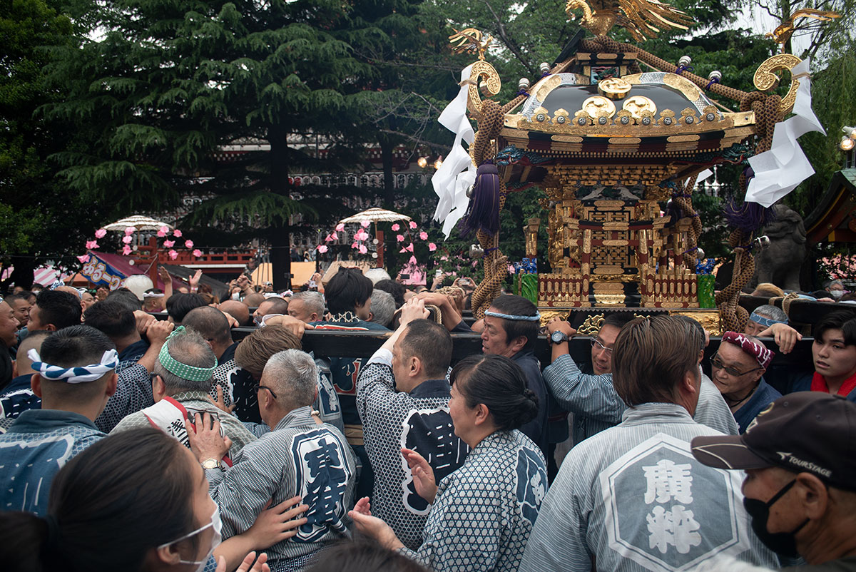 MAMIYA-SEKOR 1:2.8 f=24mm で三社祭を撮影。